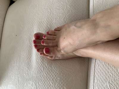 LadyVelours